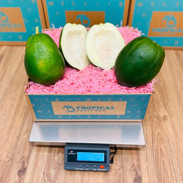 Green Papaya Box Tropical Fruit Box Regular 00879502008452